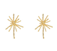 Load image into Gallery viewer, Starburst Earrings
